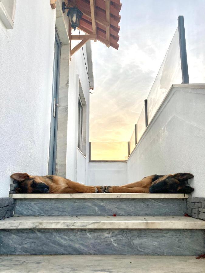 Apartamento Toca Do Lobo Charneca  Exterior foto