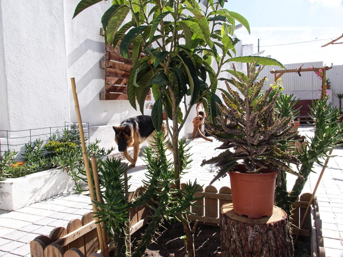 Apartamento Toca Do Lobo Charneca  Exterior foto